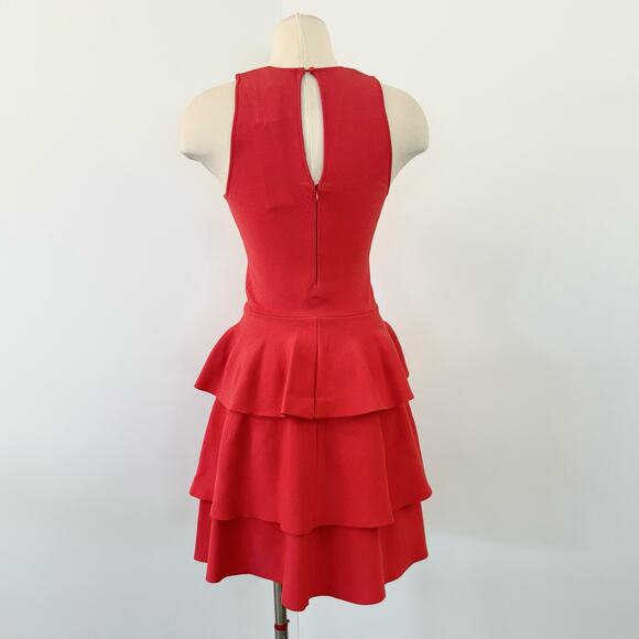 Parker Bermuda Knit Roseberry Ruffle Dress Mini | Size XS NWT - Picture 6 of 12